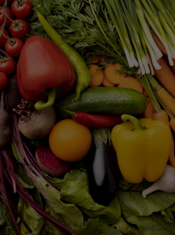 Illustration de la traçabilité des lots et du respect des normes sanitaires dans l’agroalimentaire grâce à un ERP dédié