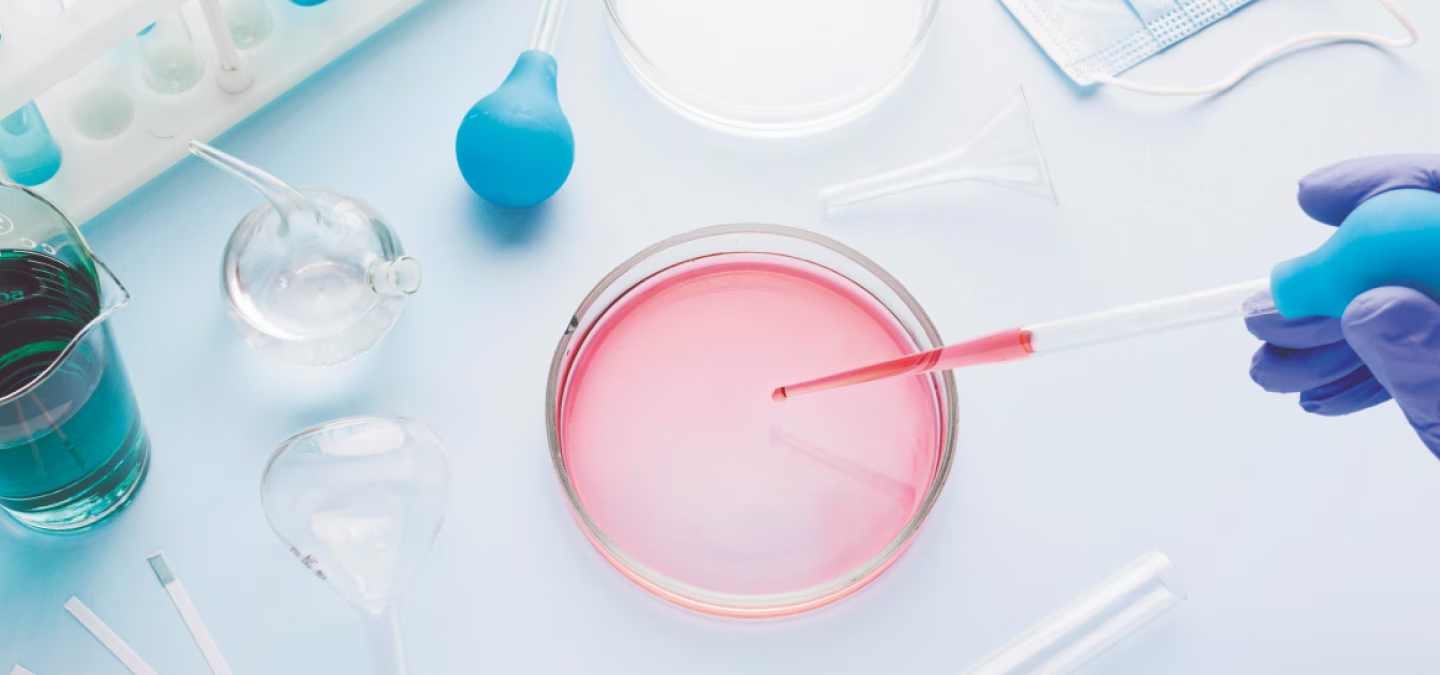 Manipulation d’échantillons biologiques dans une boîte de Petri en laboratoire avec pipette